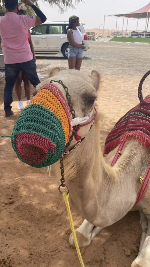 Dubai in 3 days - How to make the most of your trip